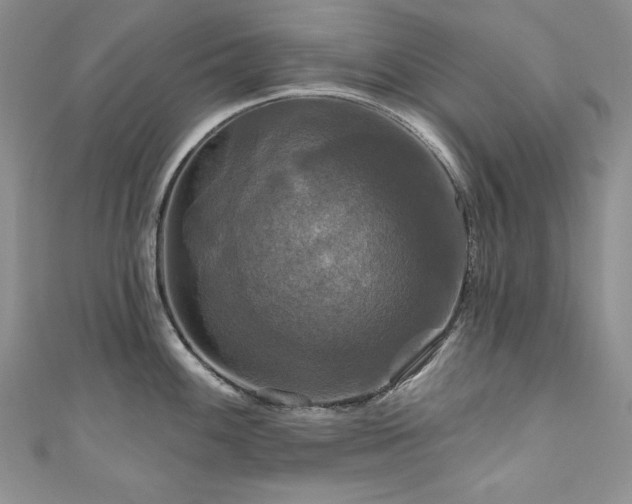 X0000111201100200907011428