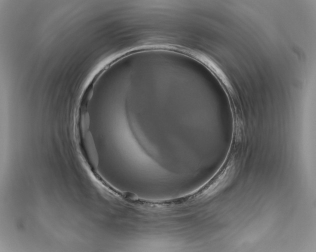 X0000111201101200907011428