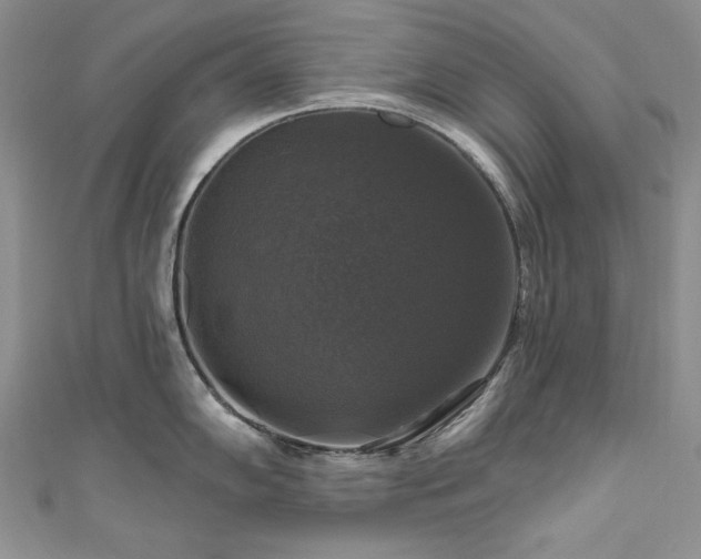 X0000111201102200907011428