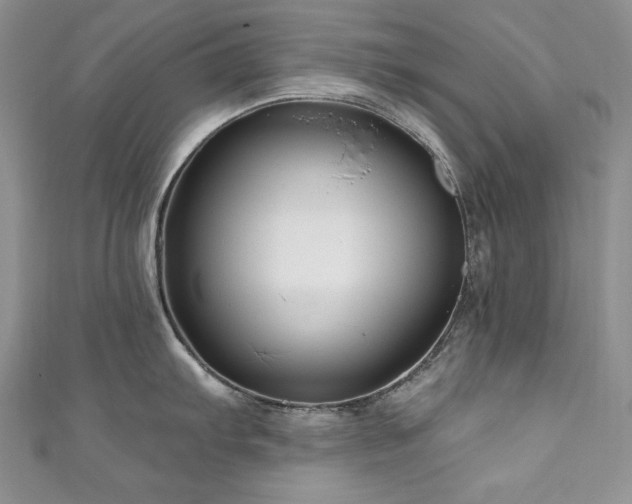 X0000111201103200907011428