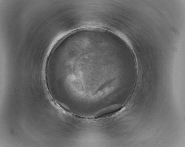 X0000111201104200907011428