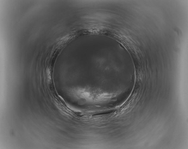 X0000111201106200907011427