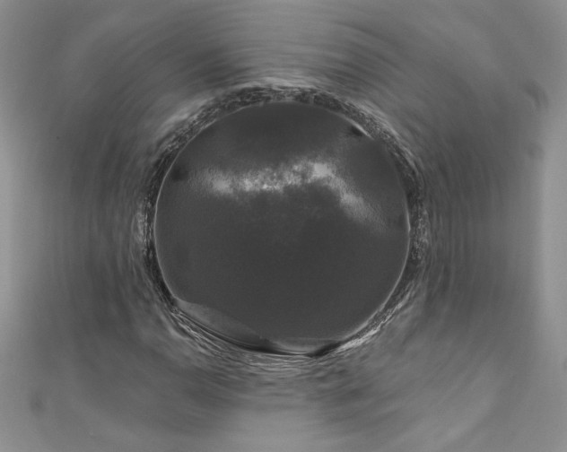 X0000111201110200907011427