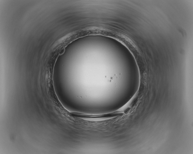 X0000111201111200907011427