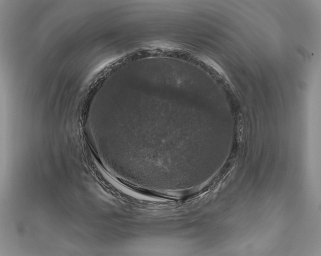 X0000111201112200907011427
