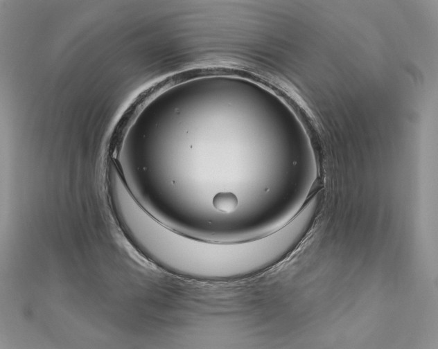 X0000111201116200907011427