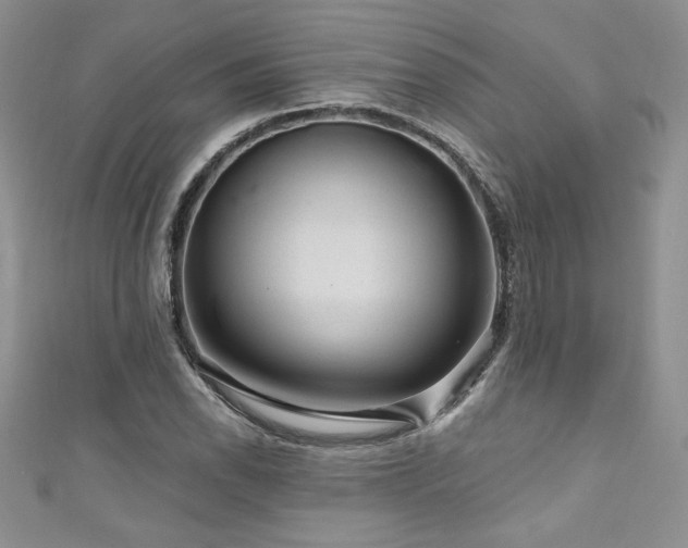 X0000111201118200907011427