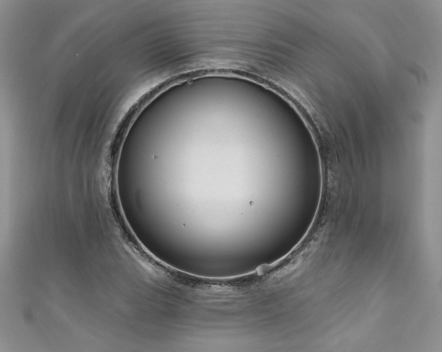 X0000111201119200907011427