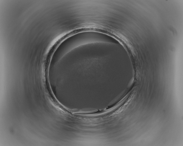 X0000111201120200907011427