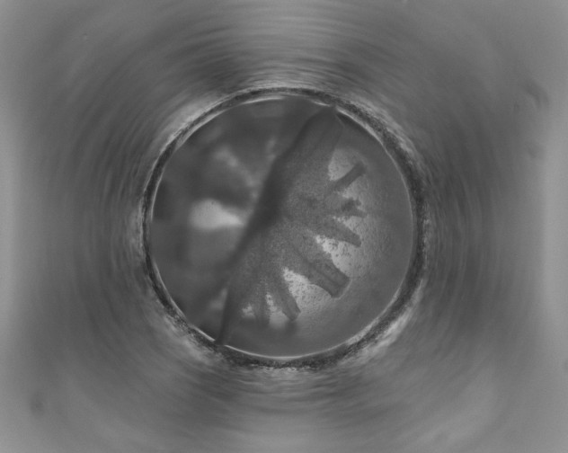 X0000111201121200907011427