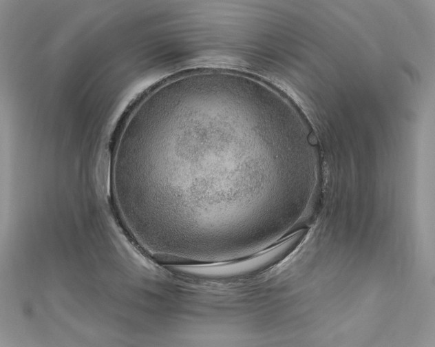 X0000111201123200907011427