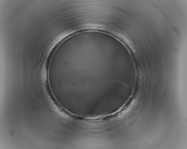 X0000111201125200907011427