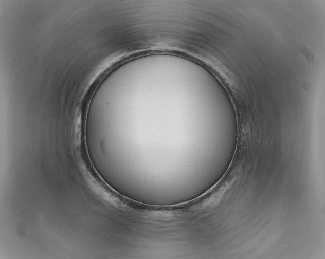 X0000111201126200907011427
