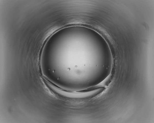 X0000111201129200907011427