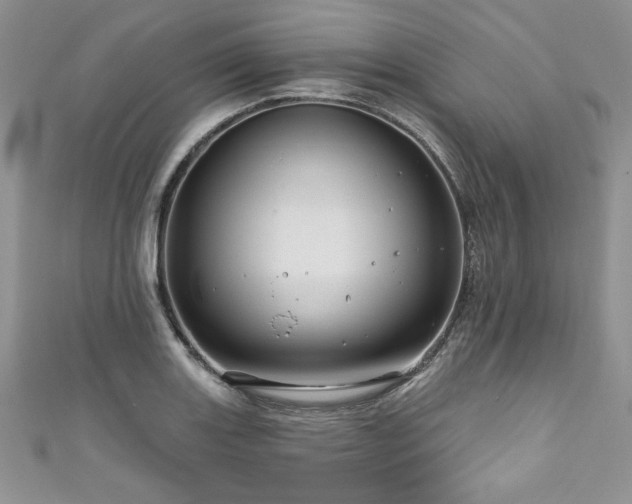 X0000111201131200907011427
