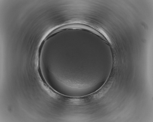X0000111201132200907011427