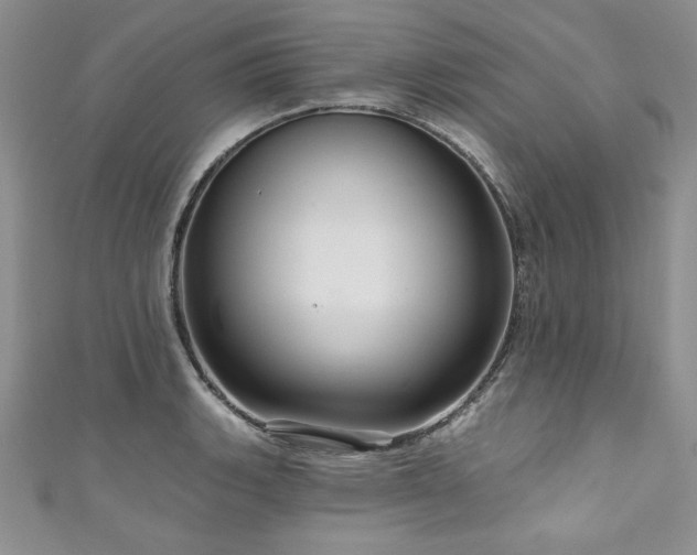 X0000111201135200907011427