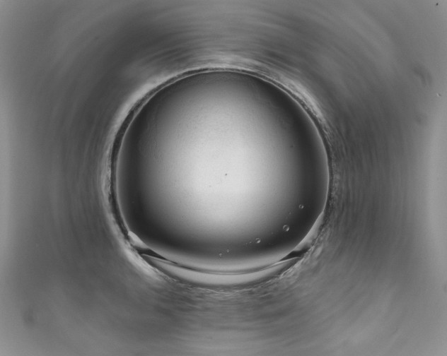 X0000111201136200907011427