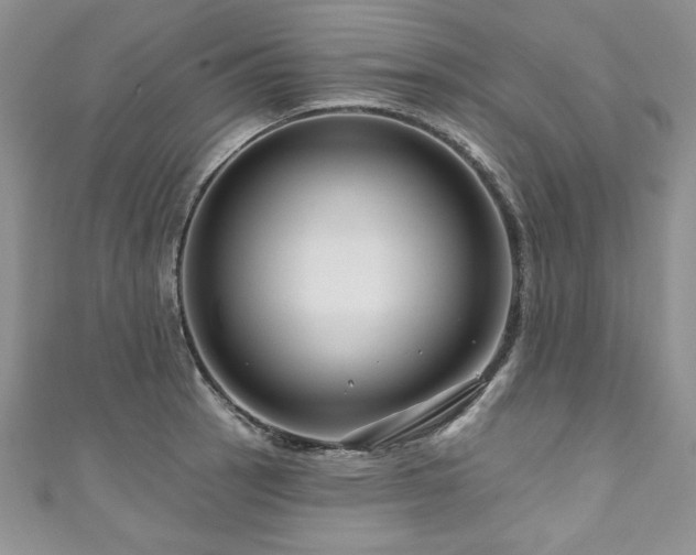 X0000111201137200907011427