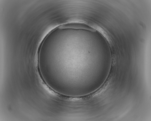 X0000111201140200907011427