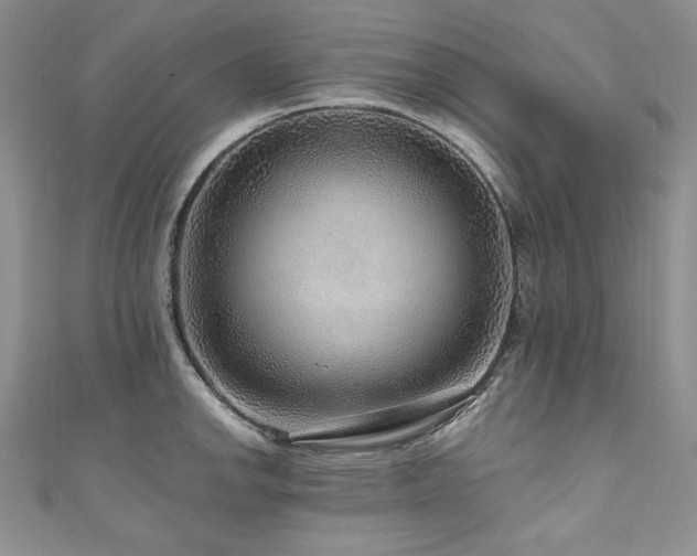 X0000111201142200907011427