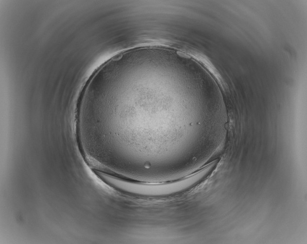 X0000111201143200907011427