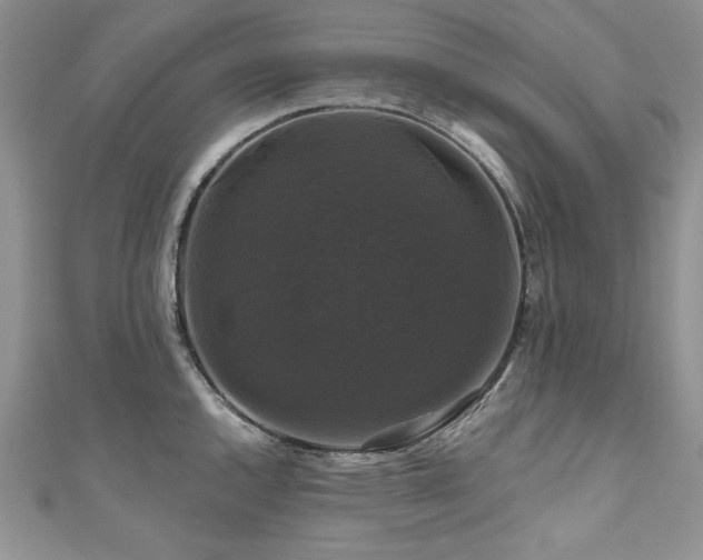 X0000111201144200907011427