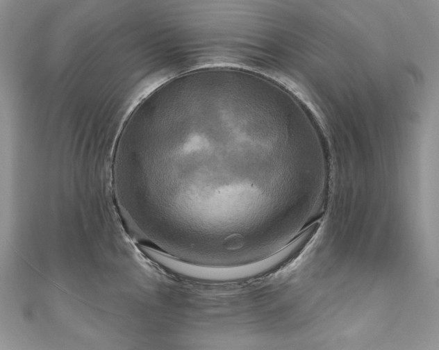 X0000111201145200907011427