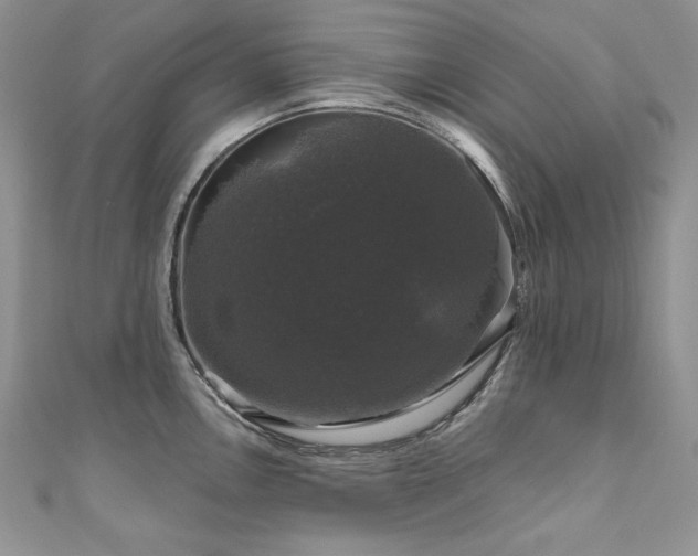 X0000111201146200907011427