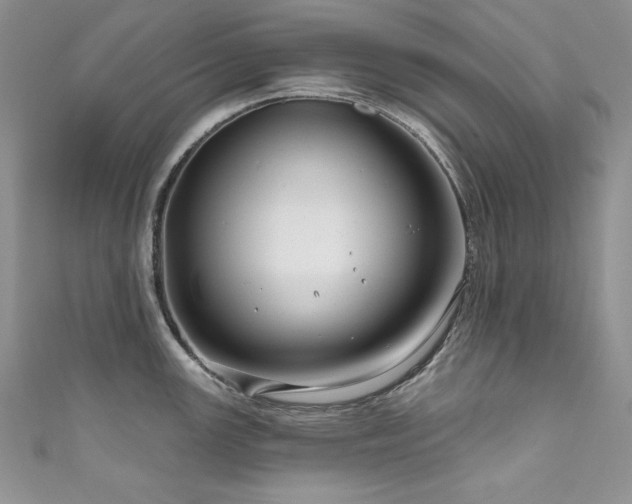 X0000111201147200907011428