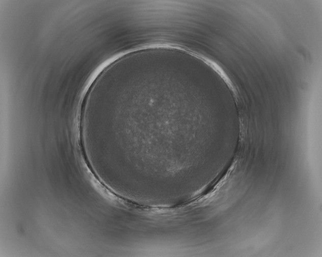 X0000111201148200907011428