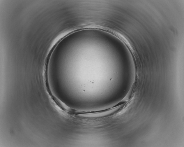 X0000111201149200907011428