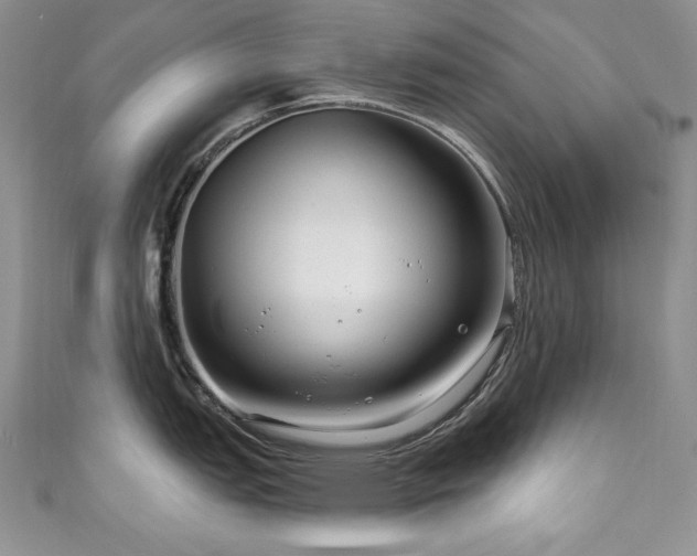 X0000111201151200907011428
