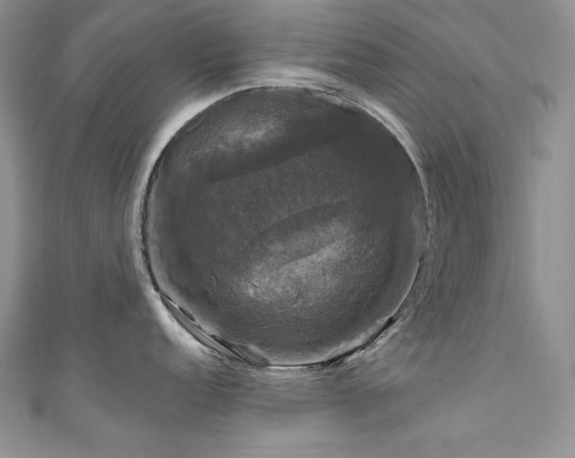X0000111201152200907011428