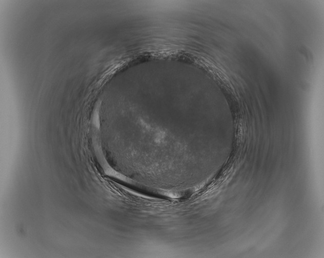 X0000111201153200907011427