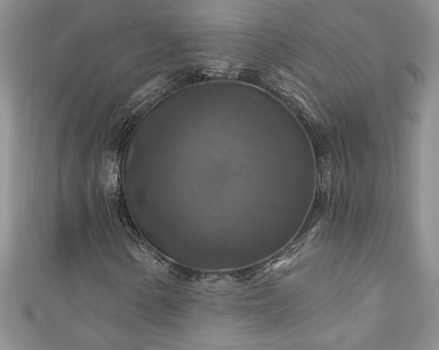 X0000111201154200907011427