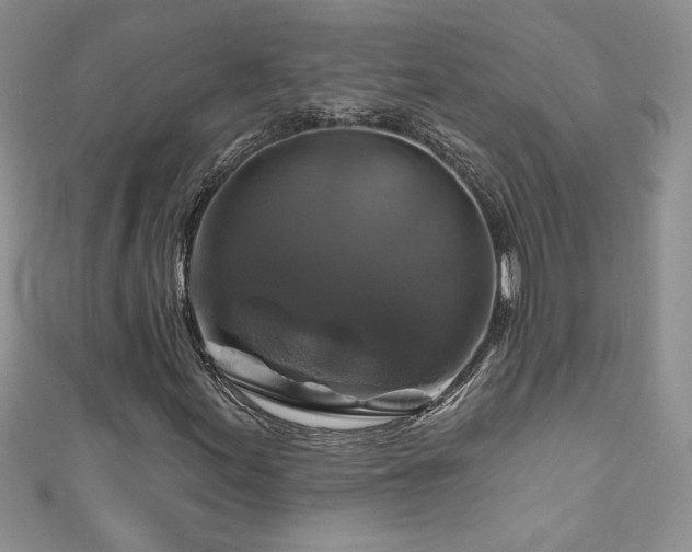 X0000111201155200907011427