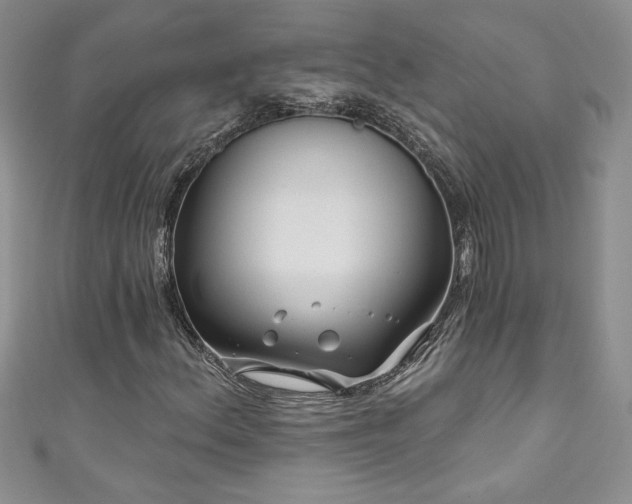 X0000111201156200907011427