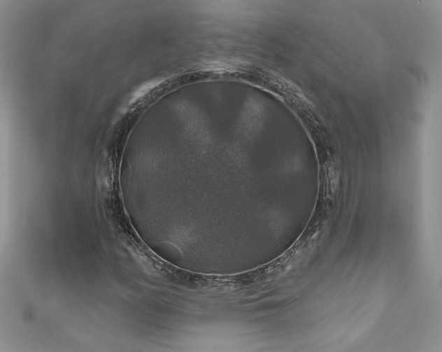 X0000111201158200907011427