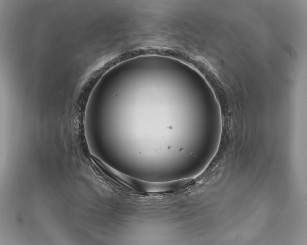 X0000111201159200907011427