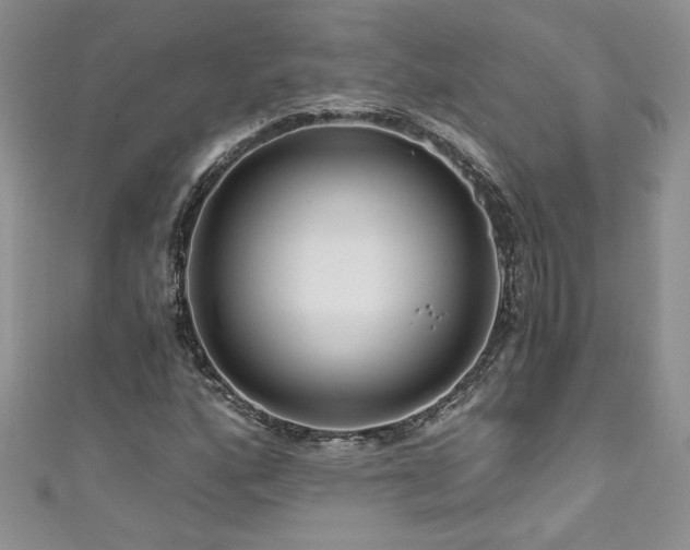 X0000111201160200907011427