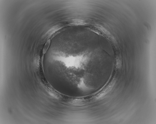 X0000111201161200907011427