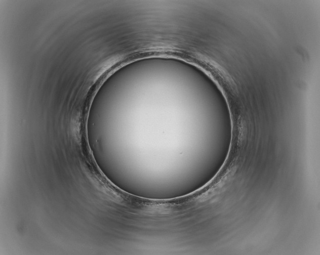 X0000111201162200907011427