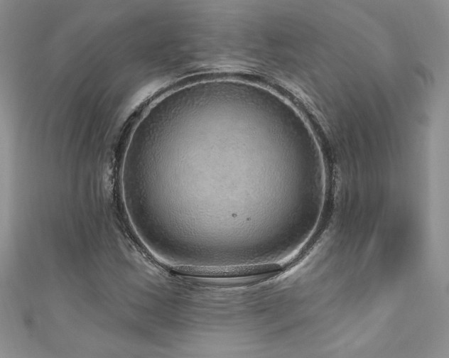 X0000111201163200907011427