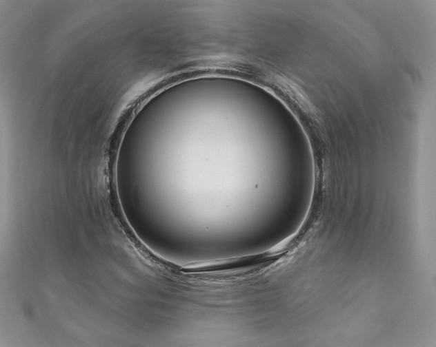 X0000111201164200907011427