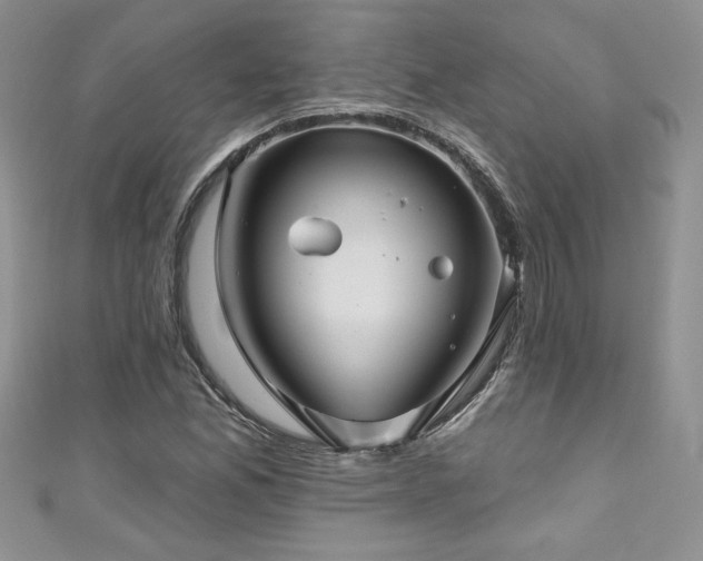 X0000111201165200907011427