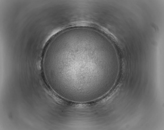 X0000111201166200907011427