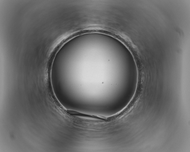 X0000111201167200907011427