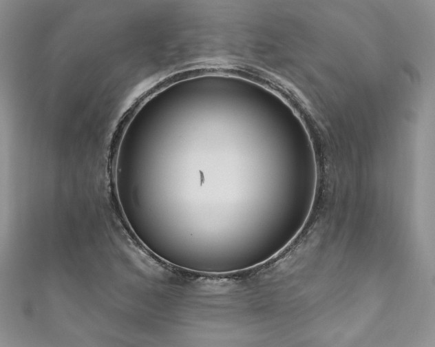 X0000111201168200907011427
