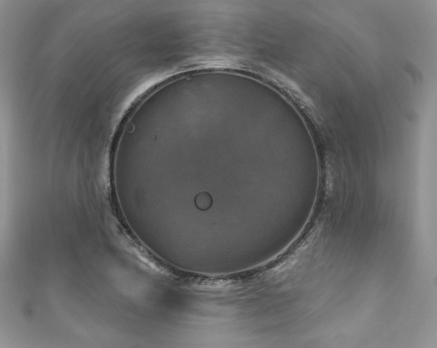 X0000111201174200907011426